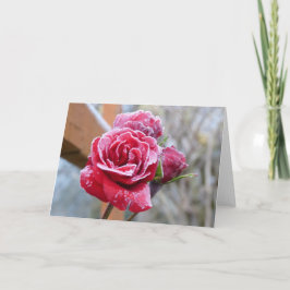 Tarjeta de saludo Rosa congelada