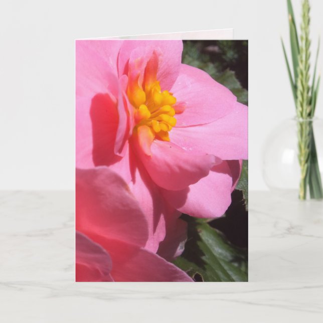 Tarjeta de saludo Rosa Tuberous Begonia (Anverso)