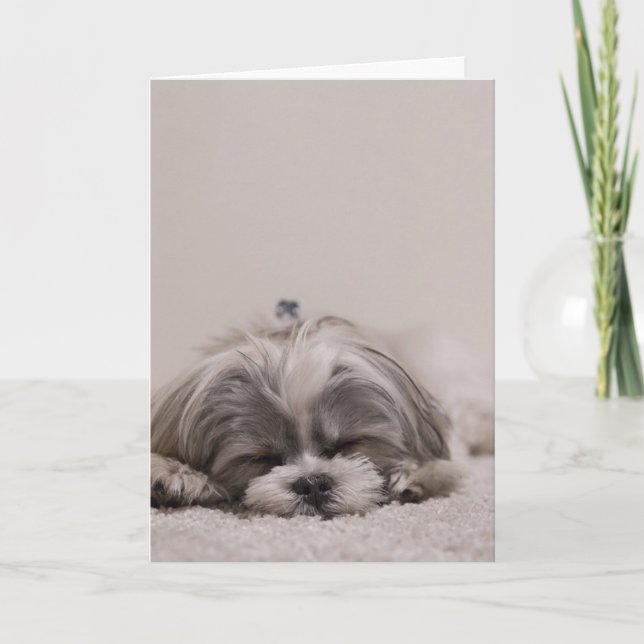 Tarjeta de saludo Shih tzu, perro durmiendo (Anverso)