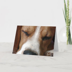 Tarjeta de saludo Sleeping Beagle