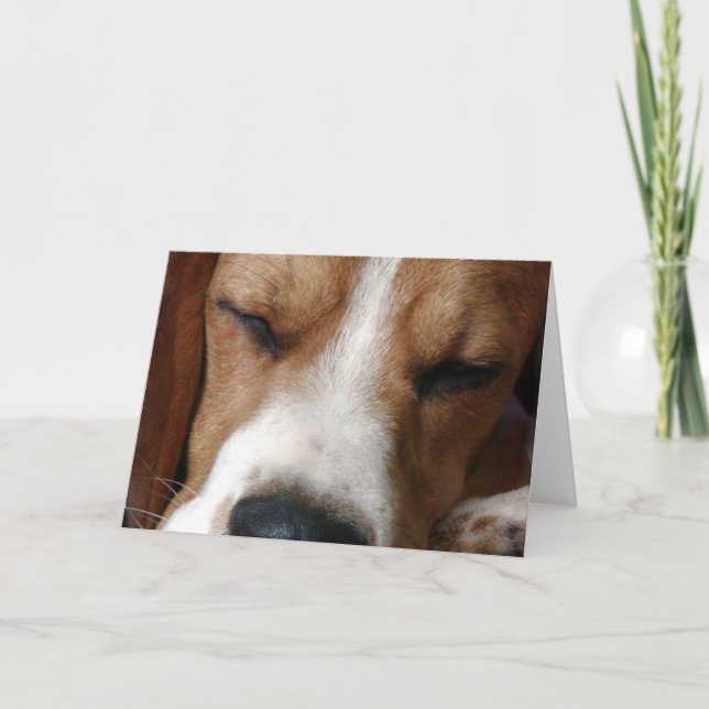 Tarjeta de saludo Sleeping Beagle (Anverso)