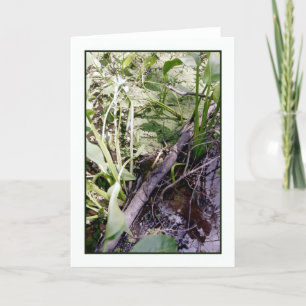 Tarjeta de saludo Snake Sunbath