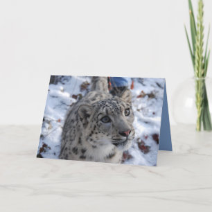 Tarjeta de saludo Snow Leopard Blank