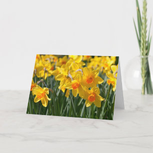 Tarjeta de saludo Spring Daffodils