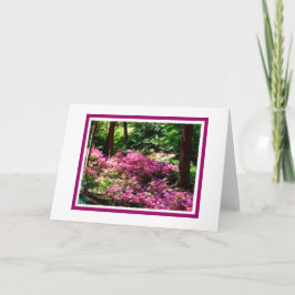 Tarjeta de saludo Spring Walk Blank