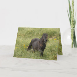 Tarjeta de saludo Stallion de Wild Sable Island