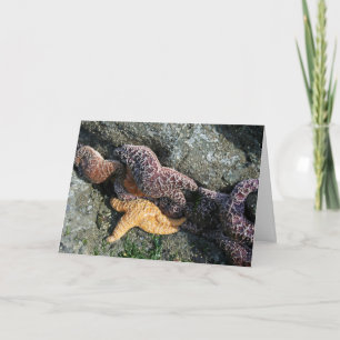 Tarjeta de saludo: Starfish
