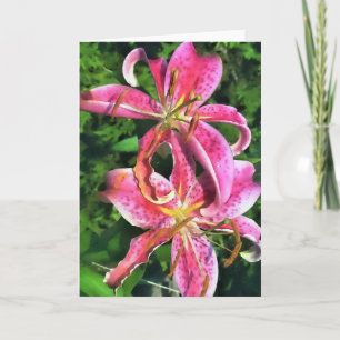Tarjeta de saludo Stargazer Lilies