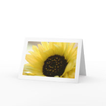Tarjeta de saludo Summer Sunflower Organic Blank