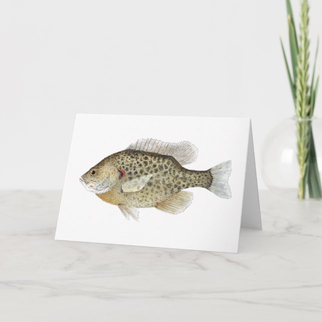Tarjeta de saludo Sunfish (Anverso)