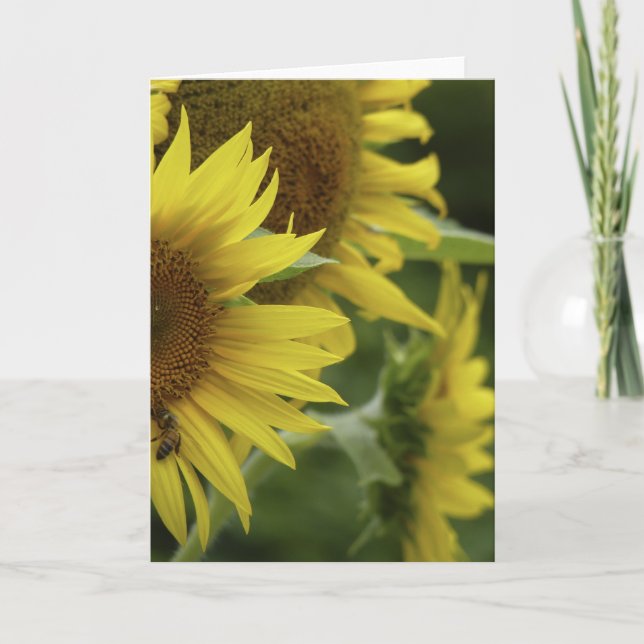 Tarjeta de saludo Sunflower Trio (Anverso)