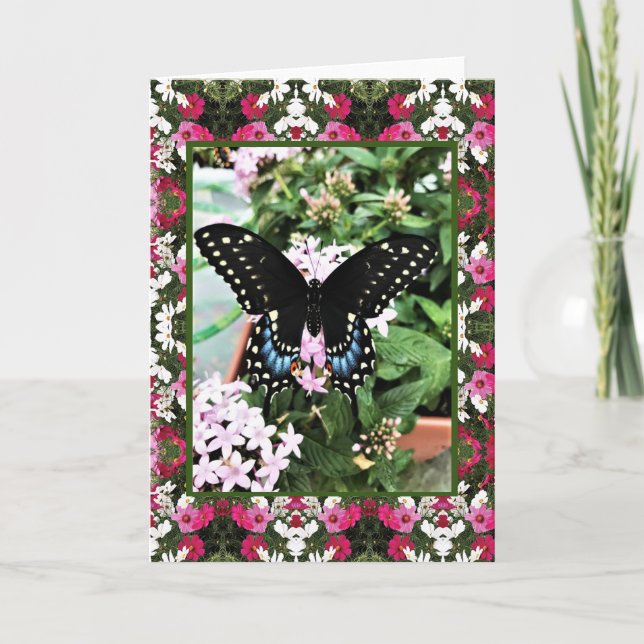 Tarjeta de saludo Swallowtail & Cosmos (Anverso)