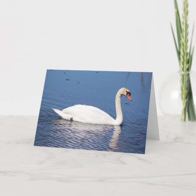 Tarjeta de saludo Swan (Anverso)