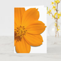 Tarjeta de saludo - Todas las ocasiones - Cosmos N