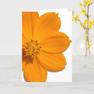Tarjeta de saludo - Todas las ocasiones - Cosmos N