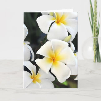 Tarjeta de saludo tropical Plumeria de Hawái