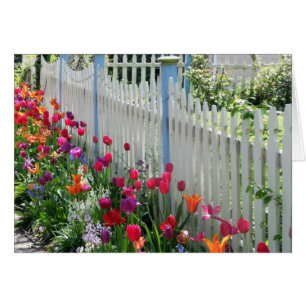 tarjeta de saludo tulipanes jardín valla de piquet