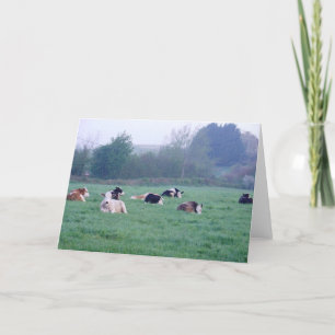 Tarjeta de saludo - Vacas en color