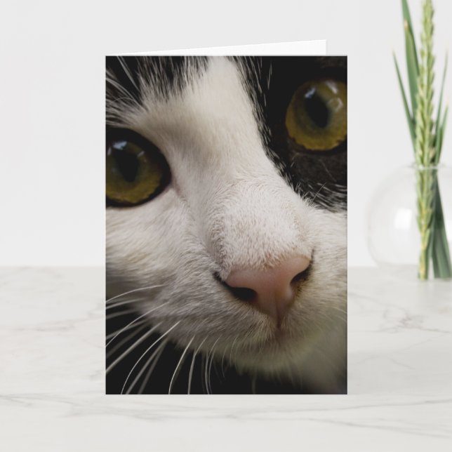 Tarjeta de saludo vertical: Mickey the Cat (Anverso)