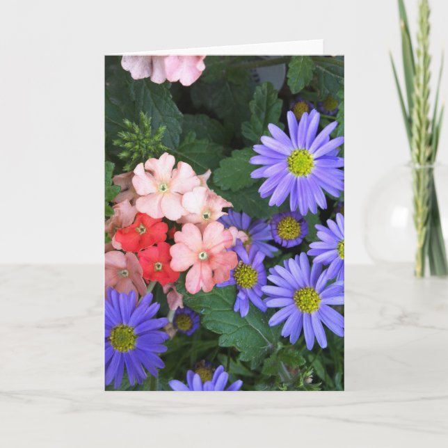 Tarjeta de saludo Violeta, Azul, Rosa y Coral (Anverso)