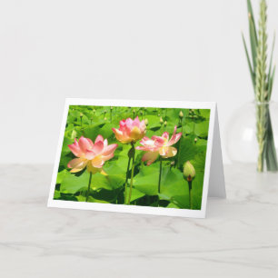 Tarjeta de saludo Water Lily