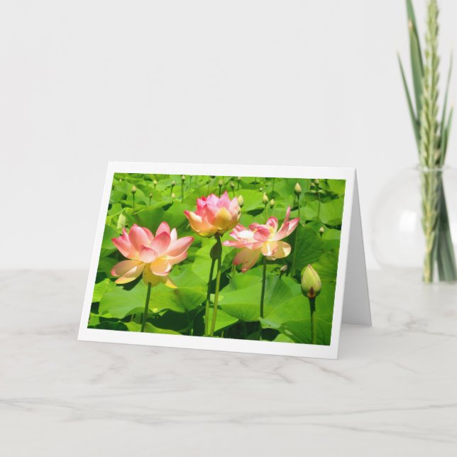 Tarjeta de saludo Water Lily (Anverso)