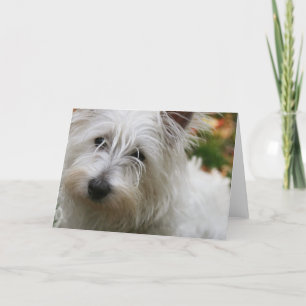 Tarjeta de saludo West Highland Terrier