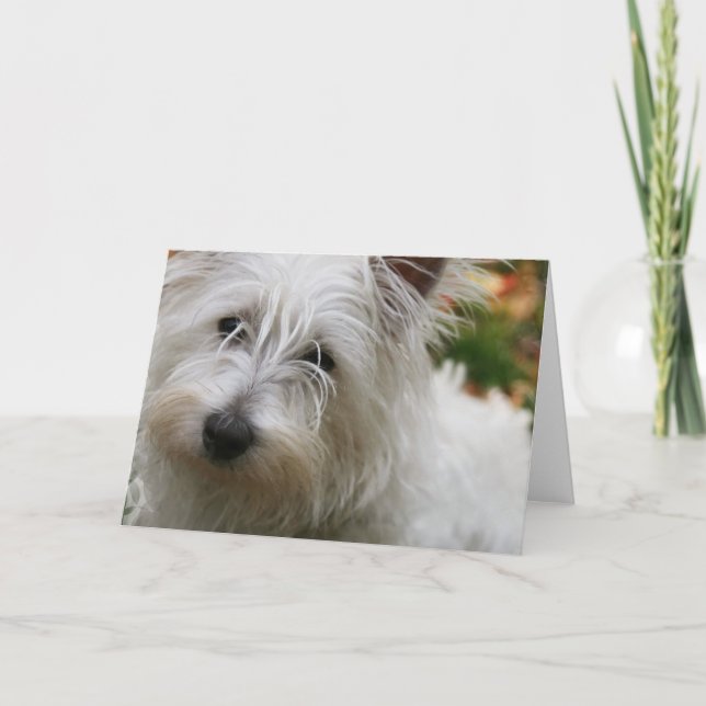 Tarjeta de saludo West Highland Terrier (Anverso)