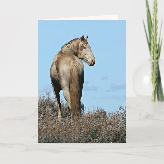 Tarjeta de saludo Wild Oregon Mustang Stallion (Anverso)
