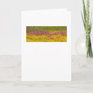 Tarjeta de saludo Wildflower Superbloom