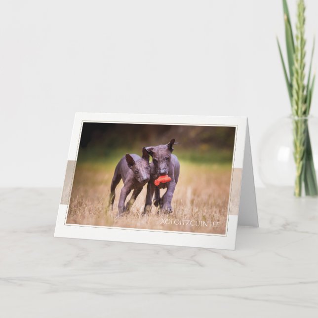 Tarjeta de saludo Xoloitzcuintle Puppies (Anverso)