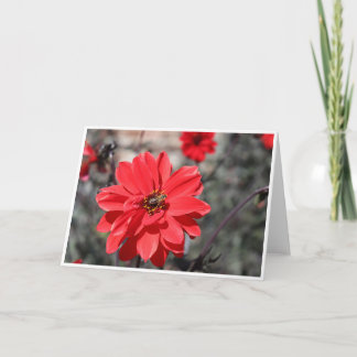 Tarjeta de saludos con una abeja en una flor roja