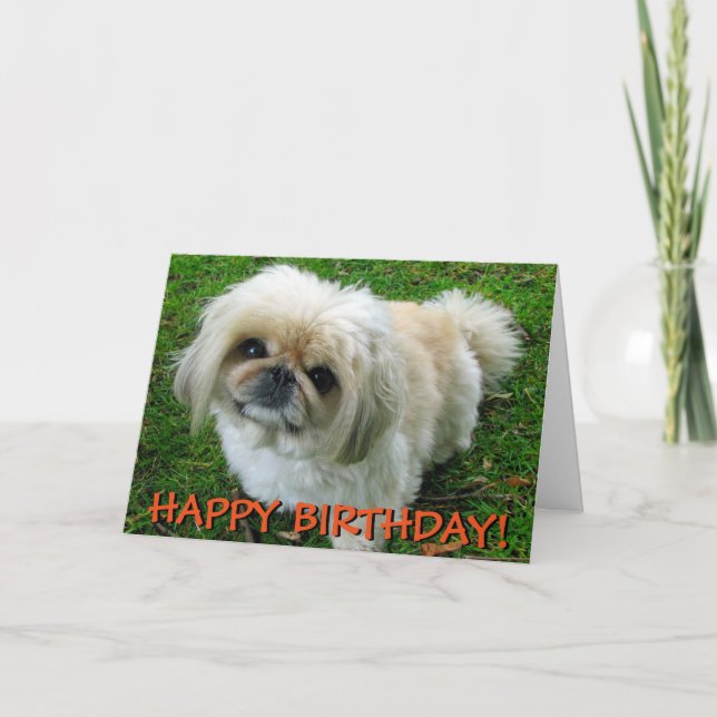 Tarjeta de saludos cutáneo pekingese (Anverso)