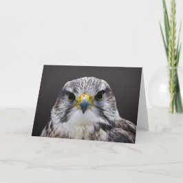 Tarjeta de saludos de Saker Falcon, en blanco dent
