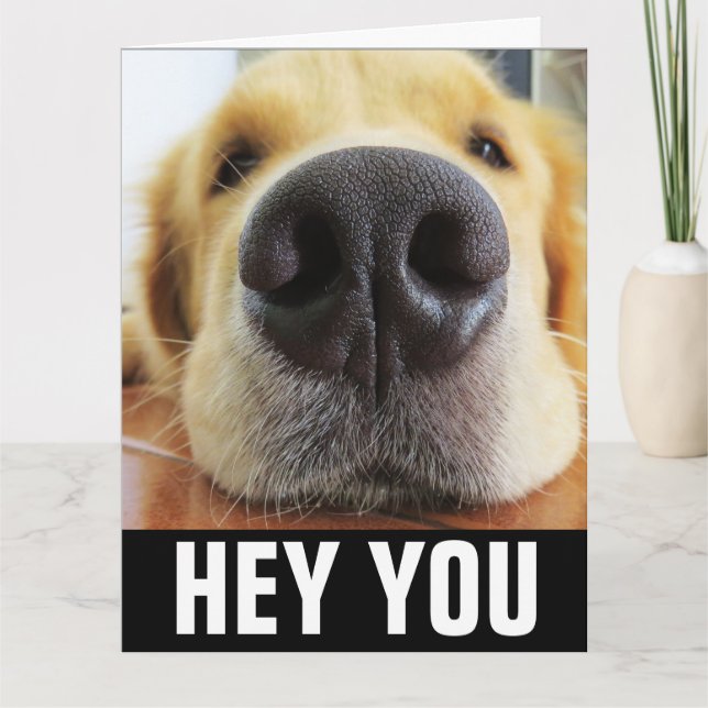 TARJETA DE SALUDOS DE SANACIÓN PARA PERRO RECUPÉRA (Anverso)