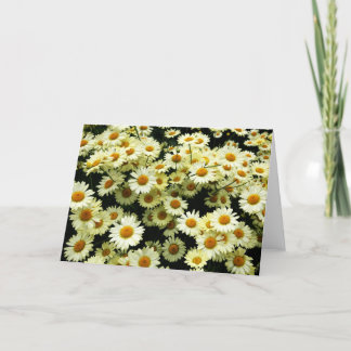 Tarjeta de saludos en blanco Daisies
