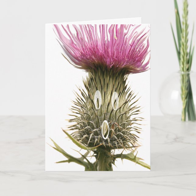 Tarjeta de saludos escocesa Thistle (Anverso)