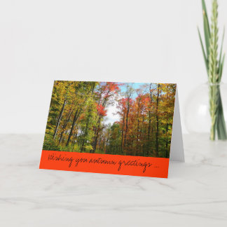 Tarjeta de saludos otoñales de árboles caídos y ci