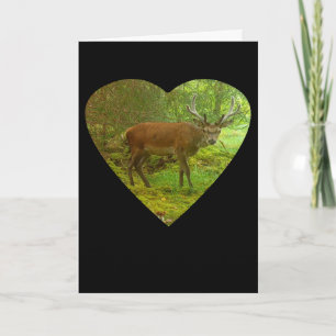 Tarjeta de saludos para Red Deer Stag in Heart Gre