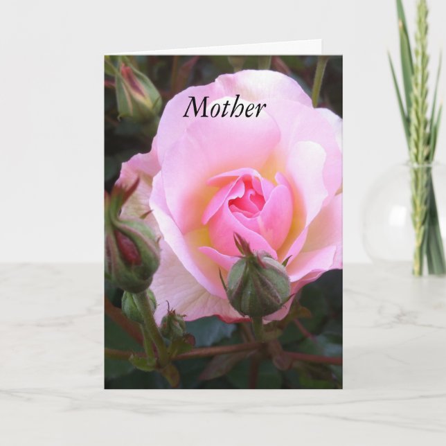Tarjeta de saludos Rosa inglesa perfecta (Anverso)