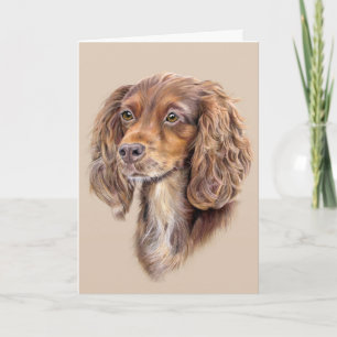 Tarjeta de saludos spinger Sprocker Cocker Spaniel