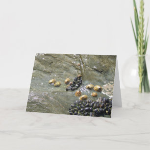 Tarjeta de saludos Sun con impresiones y mejillone