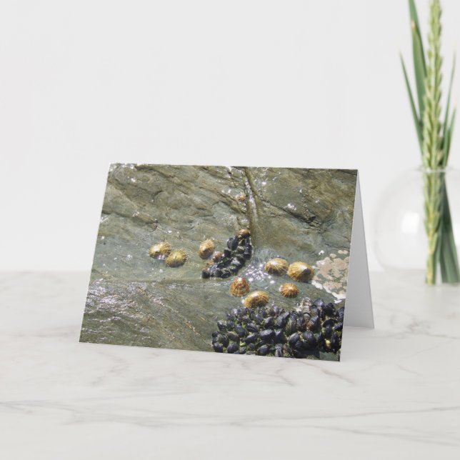 Tarjeta de saludos Sun con impresiones y mejillone (Anverso)