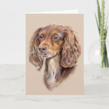 Tarjeta de salutación de Springer Sprocker Cocker 
