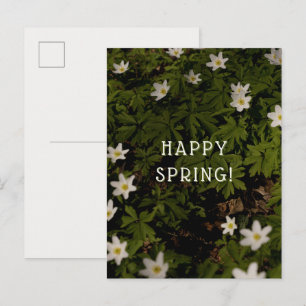 Tarjeta de salutación estética de flores de primav