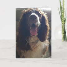 Tarjeta de salutaciones con amor