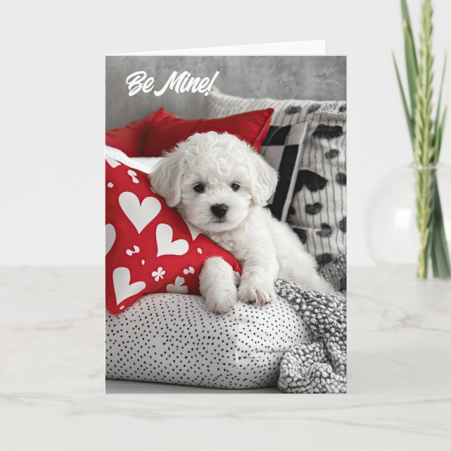 Tarjeta de San Valentín Bichon Frise Puppy (Anverso)