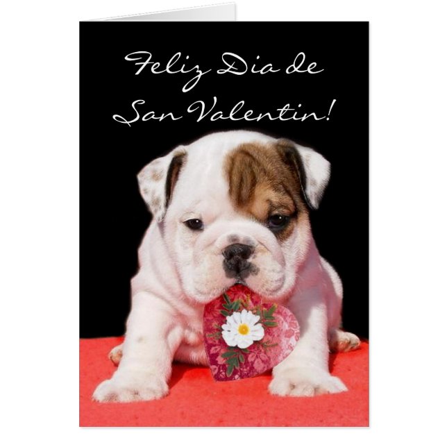 Tarjeta de San Valentin con cachorro bulldog (Frente)