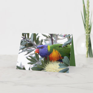 Tarjeta de San Valentín con Lorikeet