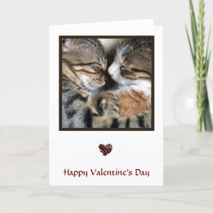 Tarjeta de San Valentín de amor para gato